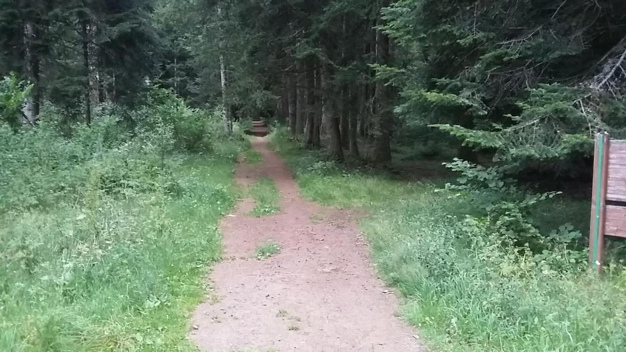 Belle Vue Lägenhet Gelles Exteriör bild
